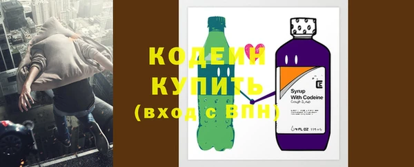 гашик Козловка