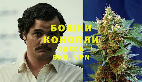 дурь Кодинск