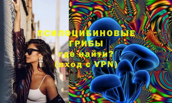 гашик Козловка