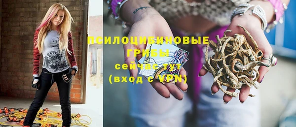 дурь Кодинск