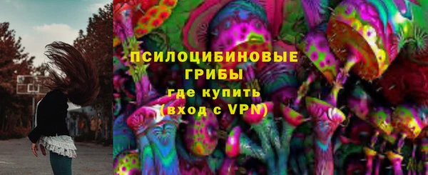 гашик Козловка
