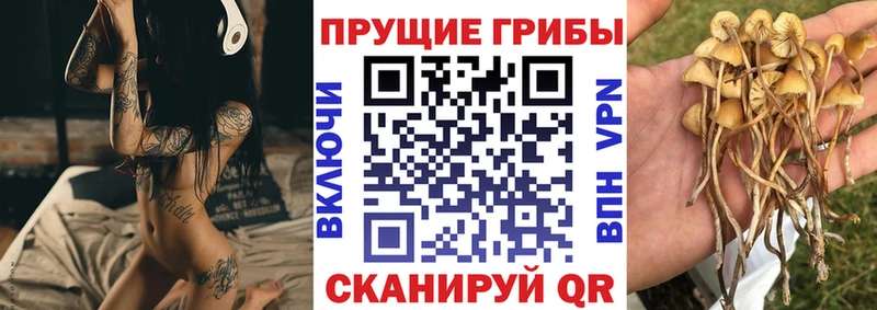 Галлюциногенные грибы GOLDEN TEACHER  Купить где  Талдом 